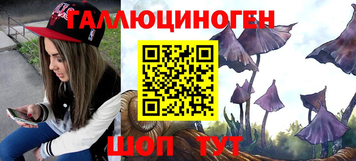 Югорск  Псилоцибиновые грибы GOLDEN TEACHER  наркота  Вход с VPN 